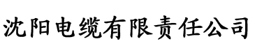 91香蕉视频色板电缆厂logo